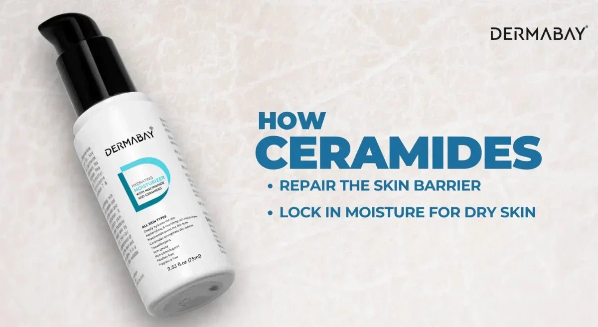 How Ceramides Repair the Skin Barrier and Lock in Moisture for Dry Skin - Dermabay