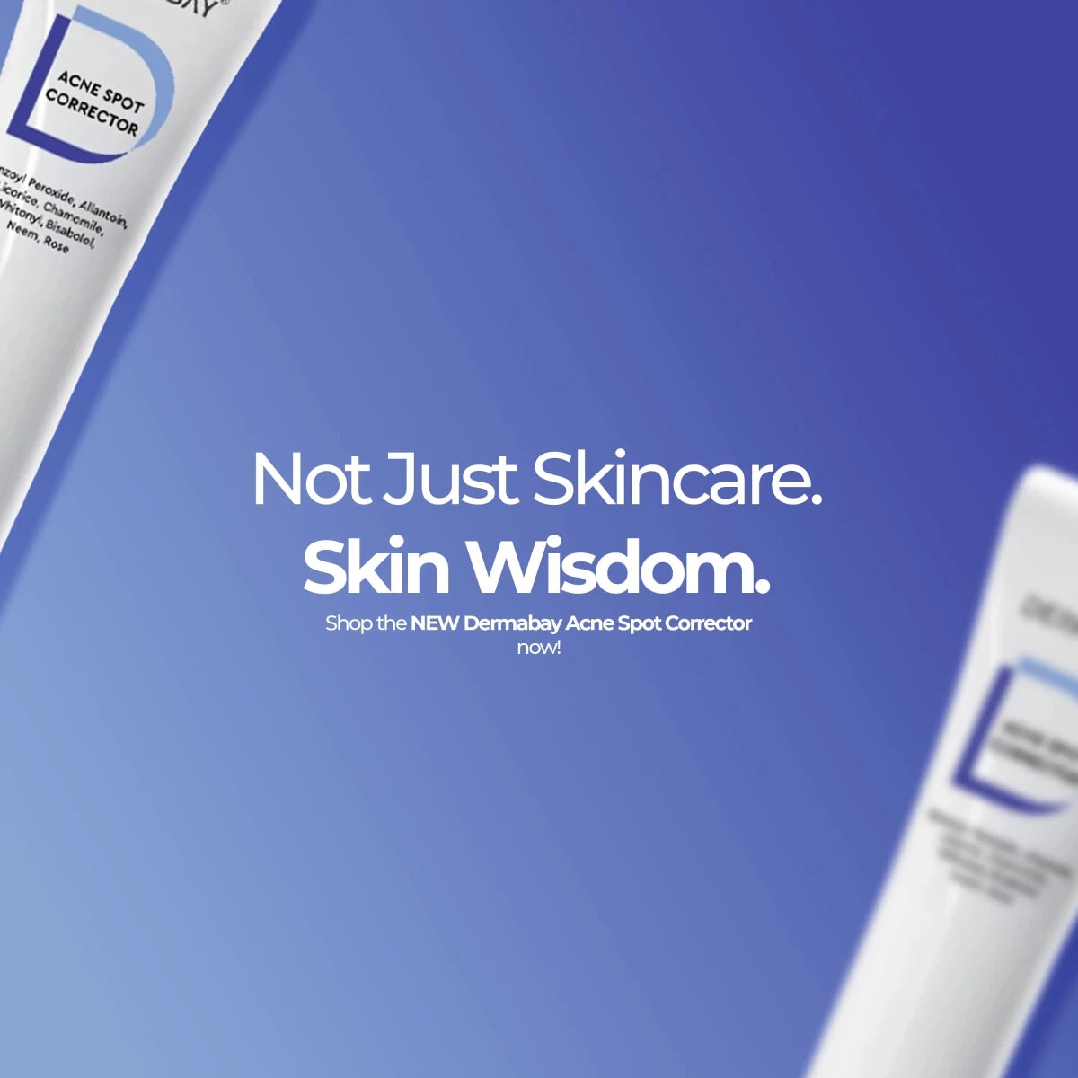 Dermabay Acne Spot CorrectorDermabay